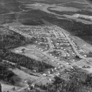 Photo aérienne et noir et blanc d'un ensemble de rues avec des maisons résidentielles en milieu forestier