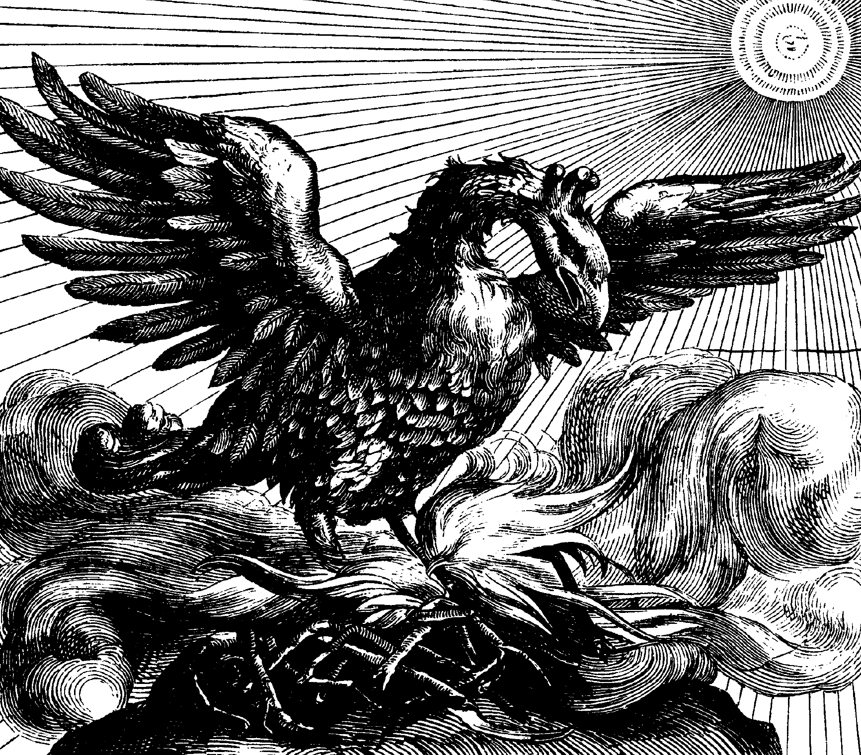 phoenix bird on nest